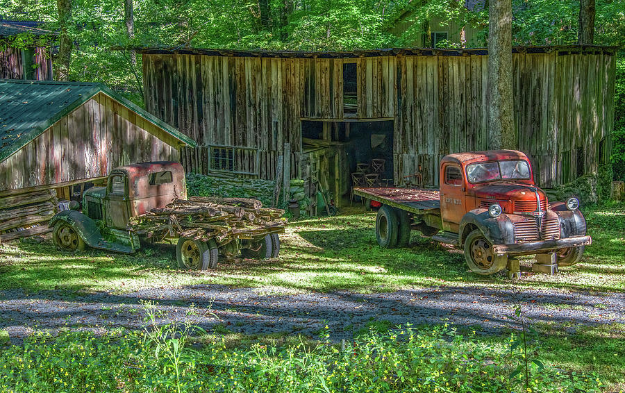 Tennessee Treasures Photograph by Marcy Wielfaert