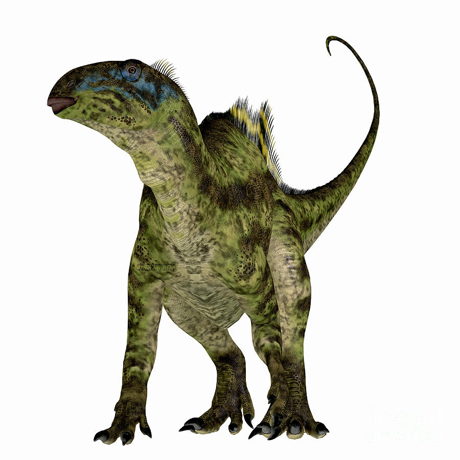 Tenontosaurus Dinosaur On White Digital Art