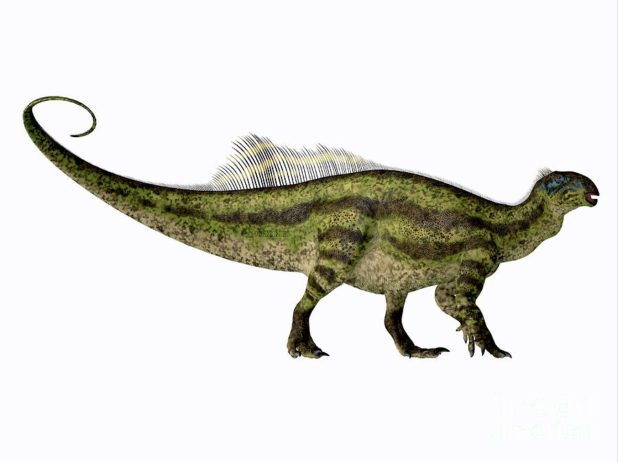 Tenontosaurus Dinosaur Side Profile Digital Art