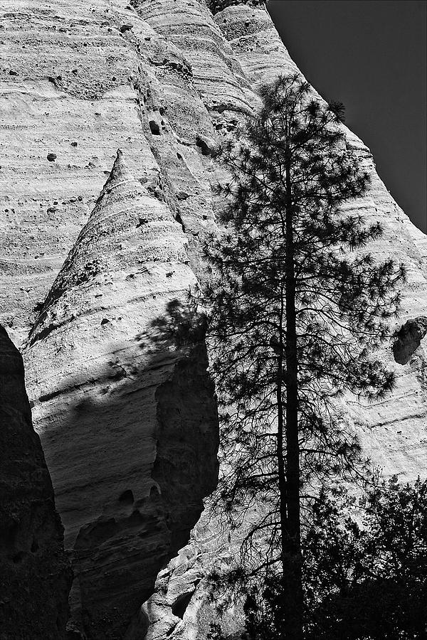 Tent Rocks, New Mexico 5 Photograph by Steven Ralser