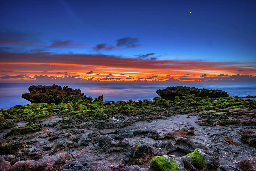 Tequesta Twilight Serenade at Coral Cove Park Photograph by Kim Seng