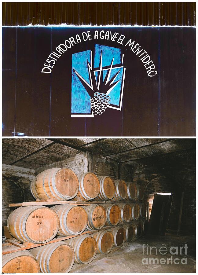 Tequila Distillery 01 Photograph by Tony Singarajah Pixels