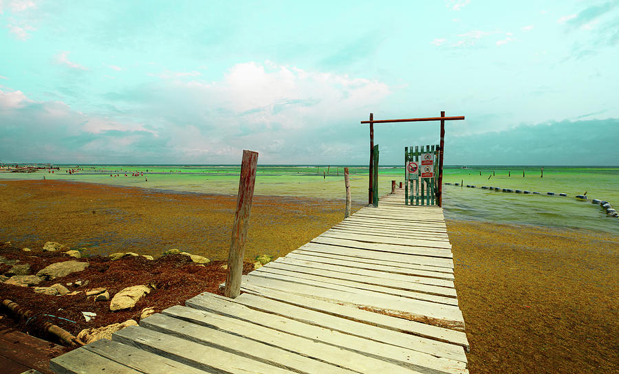 Tequilla Beach Photograph by Duy Tran - Fine Art America