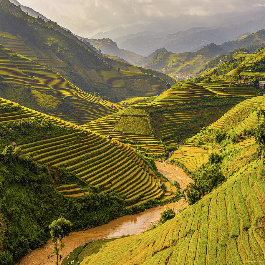 Terraced Fields In Mu Cang Chai Photograph by Le The Thang | Fine Art ...