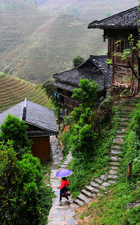 Terraces in Rain Photograph by MelindaChan