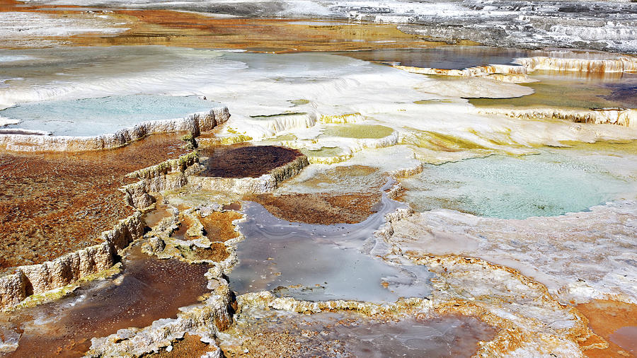 Terraces -- Main Terrace at Mammoth Hot Springs in Yellowstone National Park, Wyoming Photograph by Darin Volpe