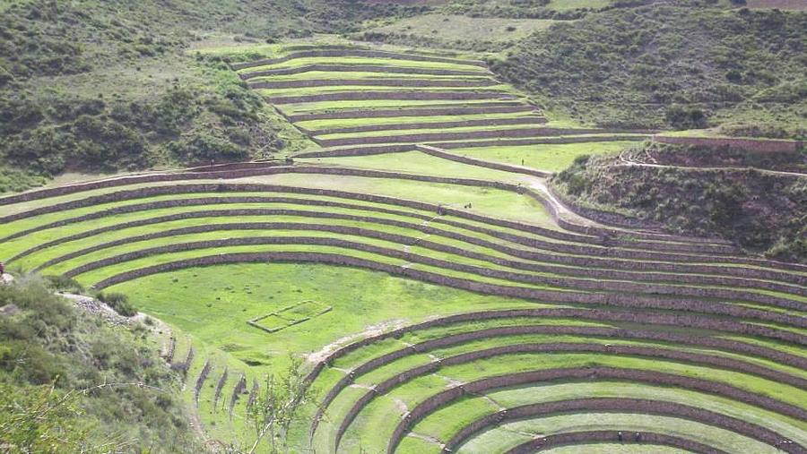 Terraces of Moray, Peru Photograph by Trevor Grassi