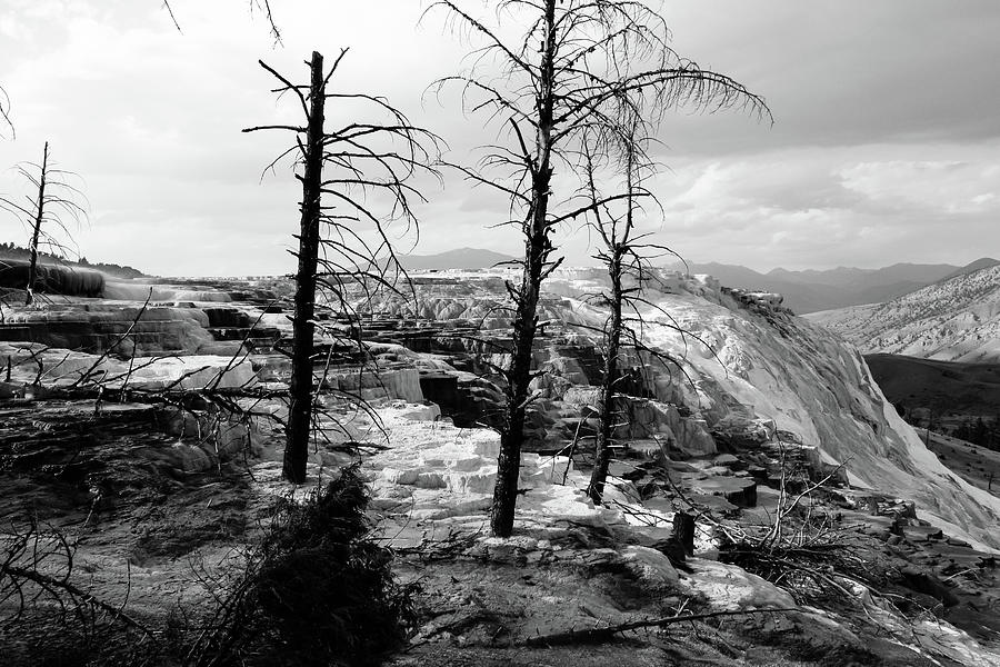 Terraces, Yellowstone NP Photograph by Aashish Vaidya