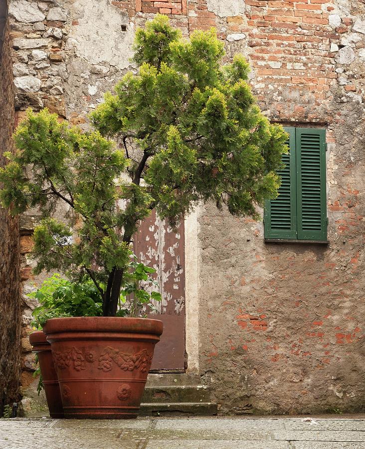 Terracotta Pot, Petroio, Tuscany, Italy Photograph by Sarah Howard
