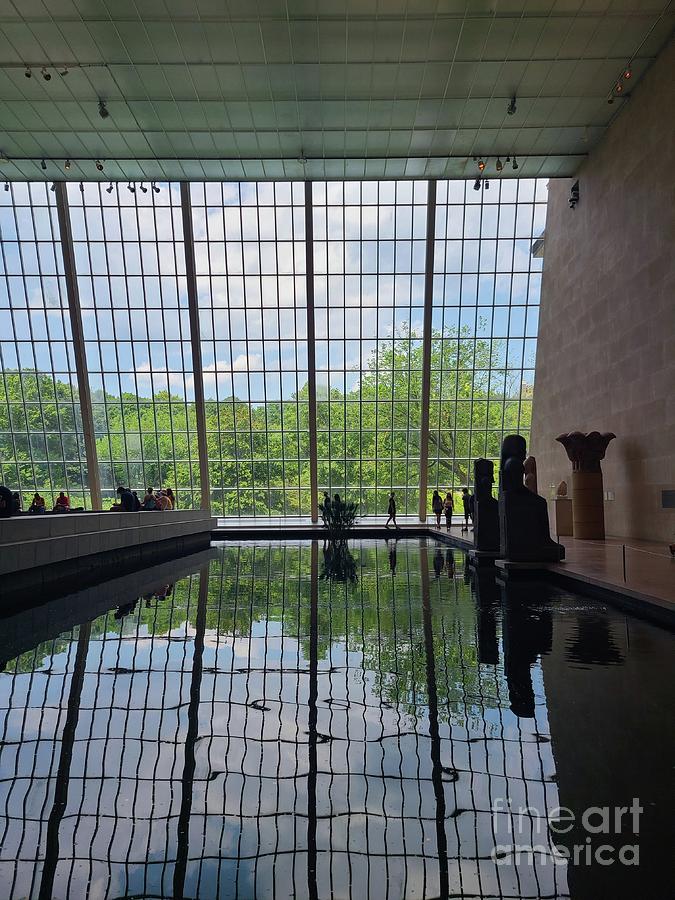 Terrarium Gallery Photograph by Ana Perales Fine Art America