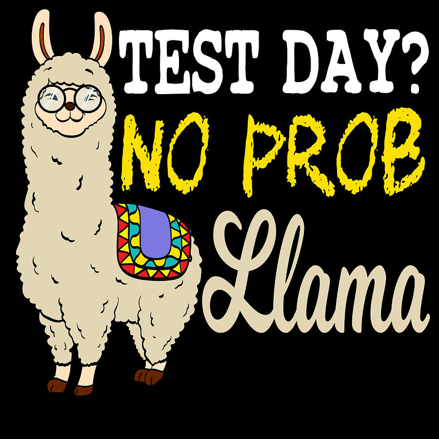 18x18 Best Llama Lifestyle Humor Gifts Test Day No Prob Funny School Exam Llama Lover Throw Pillow Multicolor 