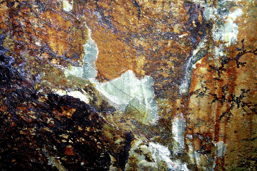 Triassic Basin Rock Photograph by Linda Bailey