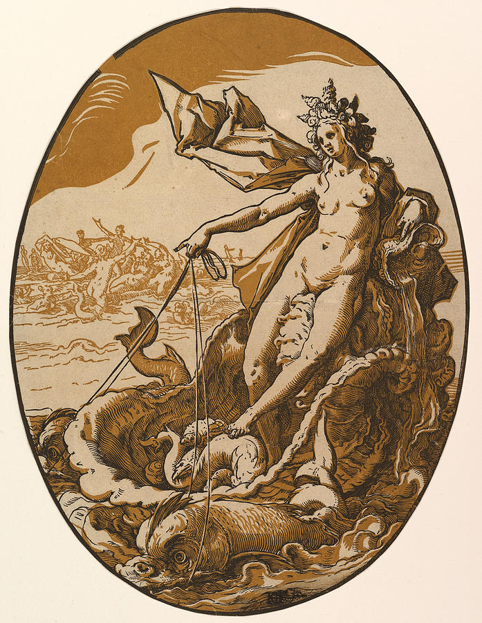 Tethys reclining in a giant shell chariot pulled by two sea creatures Drawing by Hendrik Goltzius