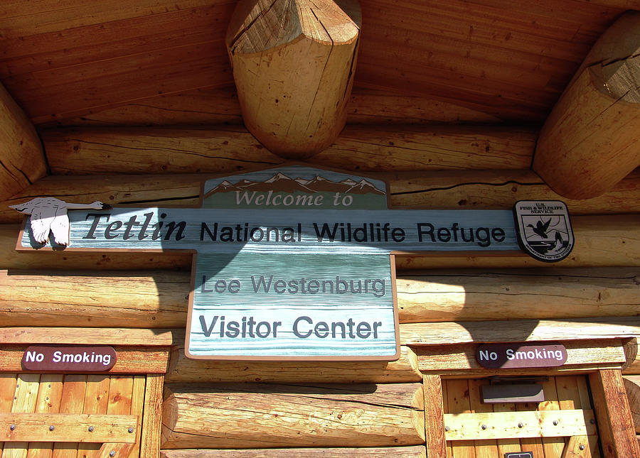 Tetlin National Wildlife Refuge Photograph