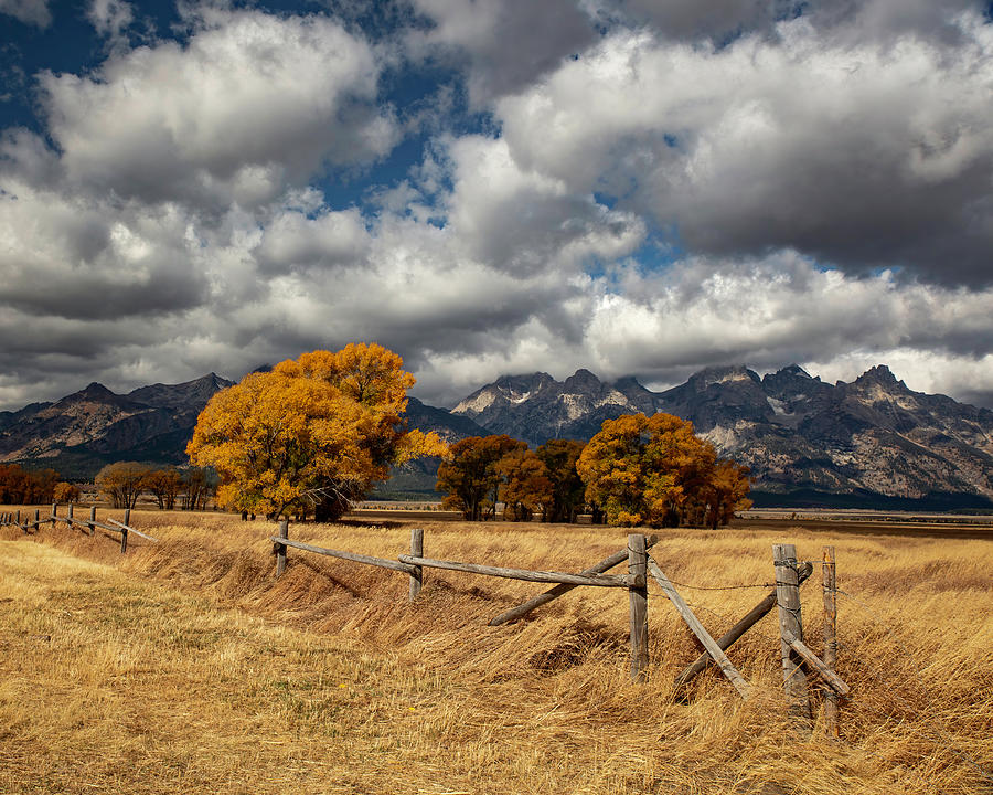 Teton Autumn Fields Photograph by Wes and Dotty Weber