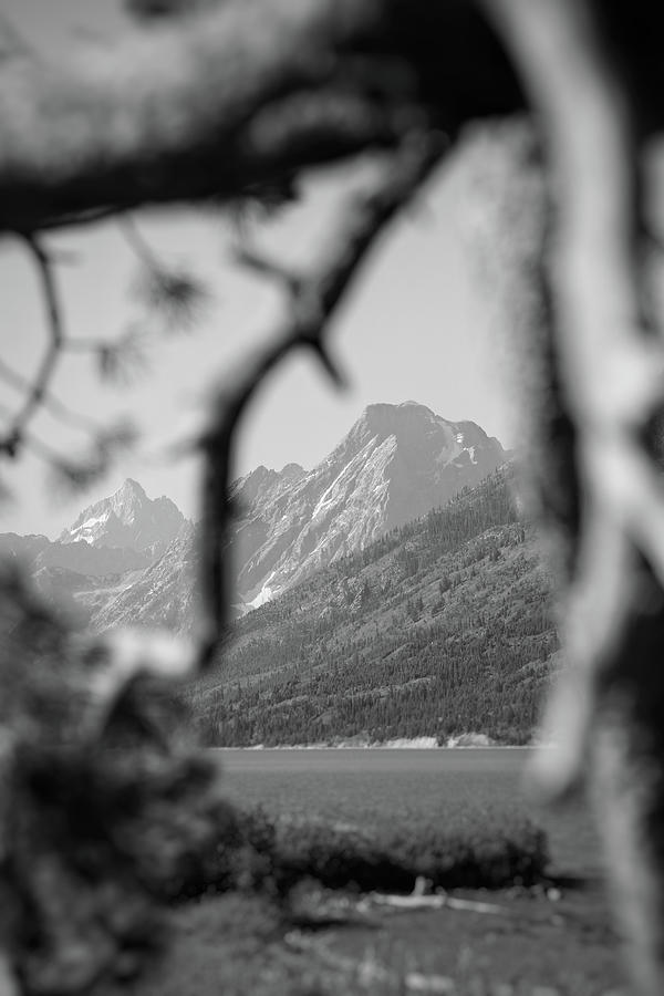 Teton in the Black and White Photograph by Go and Flow Photos