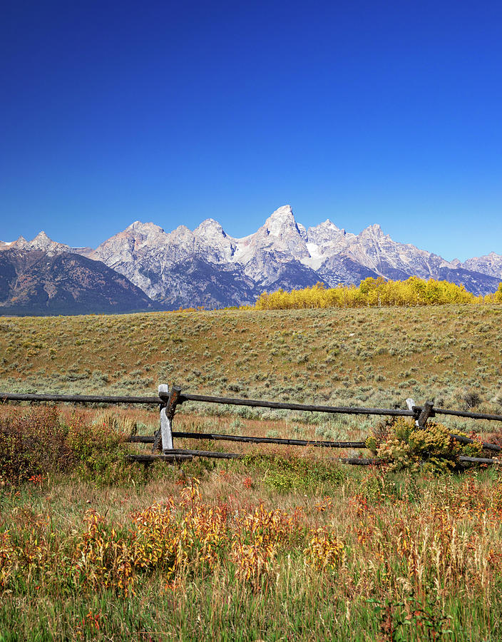 Teton Log Fence In Autumn Photograph by Dan Sproul
