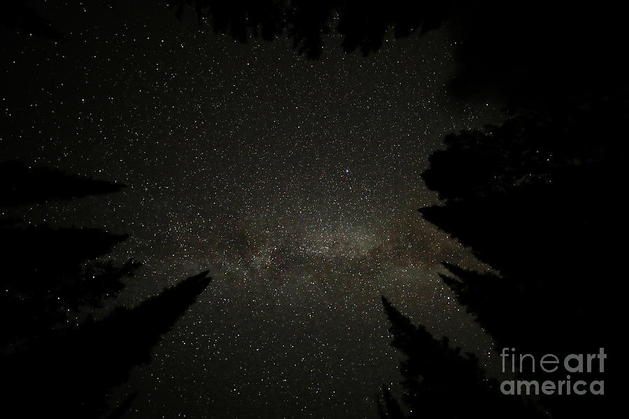 Teton Milky Way II Photograph by Stephen Schwiesow
