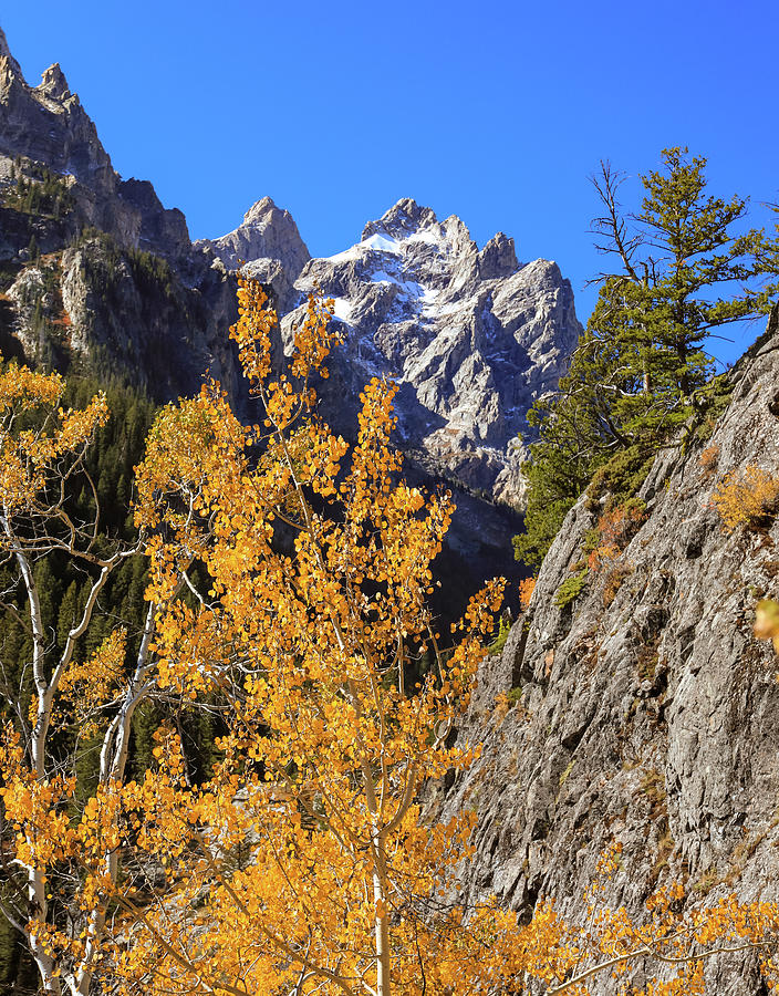 Teton Mountain Range In Fall Photograph by Dan Sproul