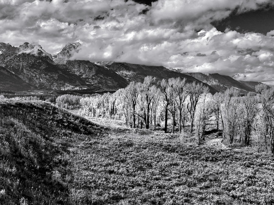 Teton Mountain  View In Black And White Photograph