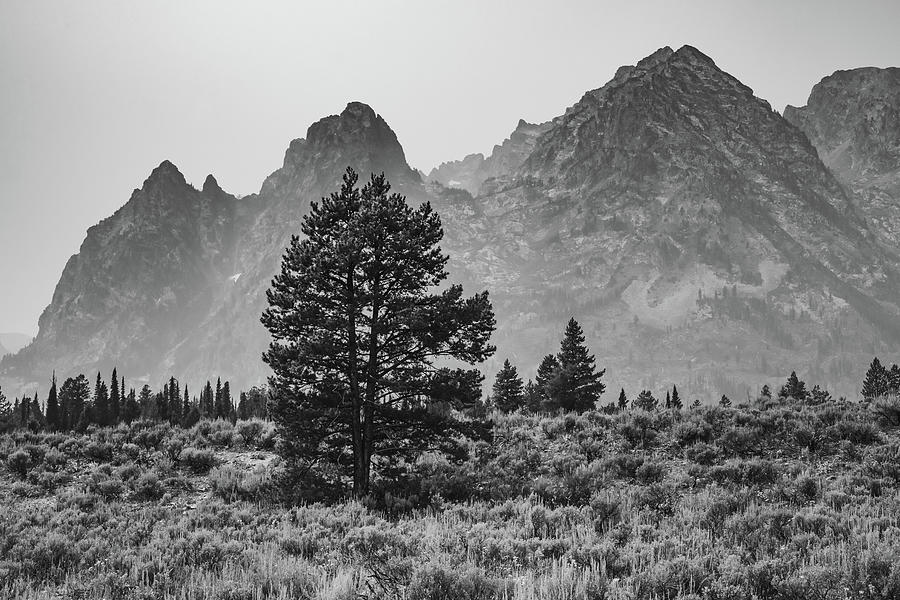 Teton Mountains - Black and White Photograph by Gregory Ballos