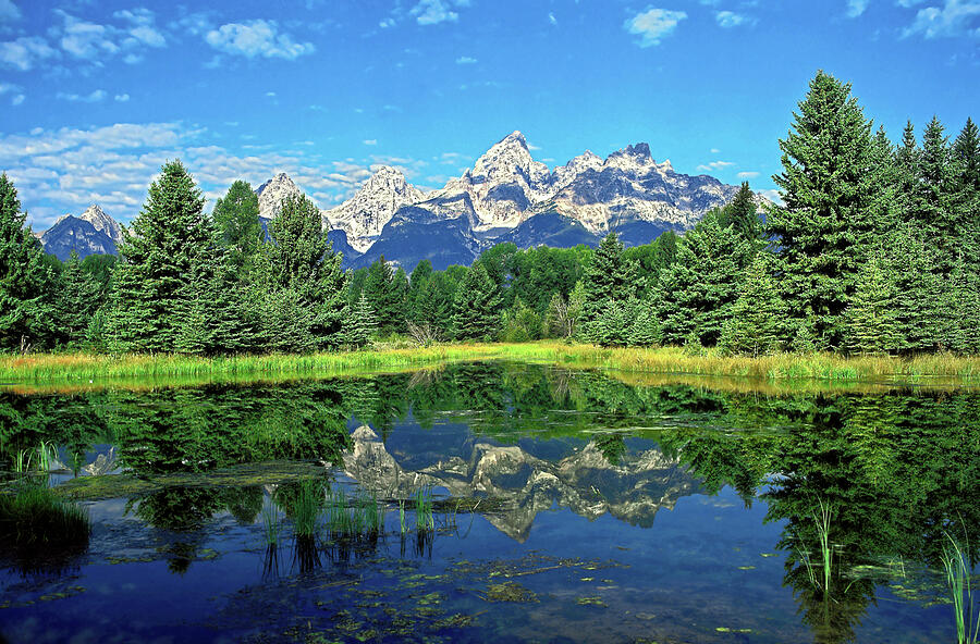 Teton Mountains Reflected Photograph by Sally Weigand
