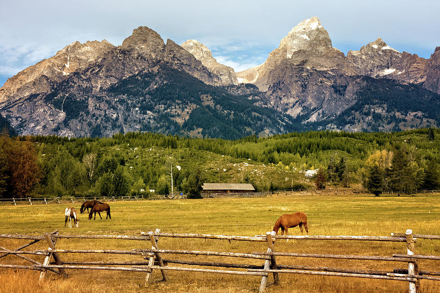 Teton Ranch Photograph by Lana Trussell