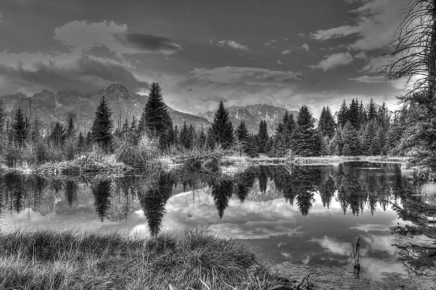Teton Reflection Photograph by David Armstrong