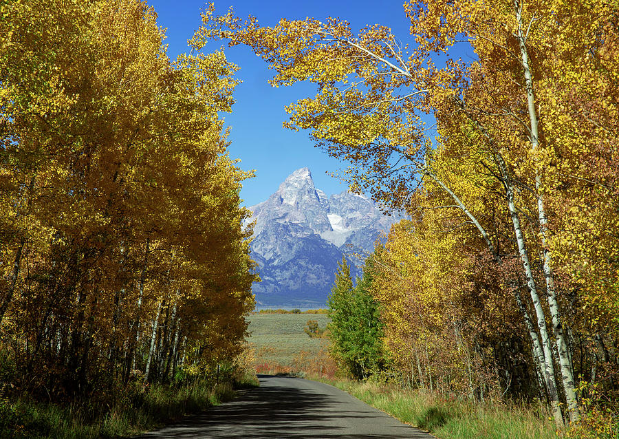 Teton Road In Fall Colors Photograph by Dan Sproul