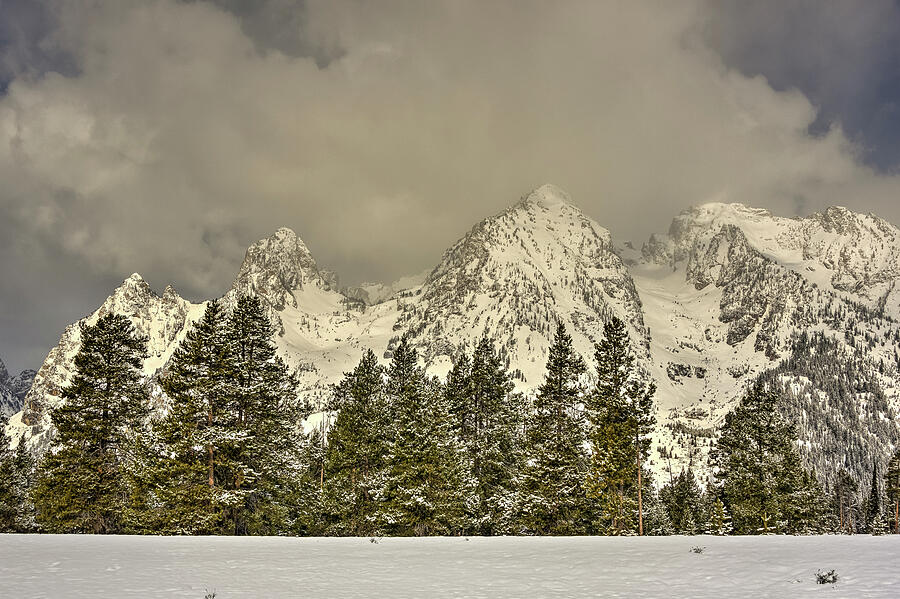 Teton Snow Trees Photograph by Lee and Renee Walsh Teton Snow Trees Photograph by Lee and Renee Walsh