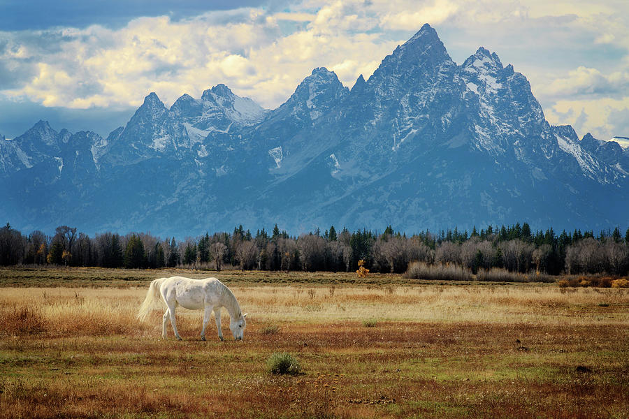 National Parks Photograph - Teton Tranquility by Rick Berk