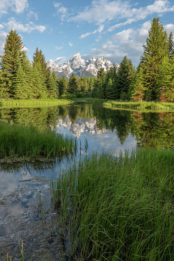 Tetons at Sunrise Photograph by Constance Puttkemery