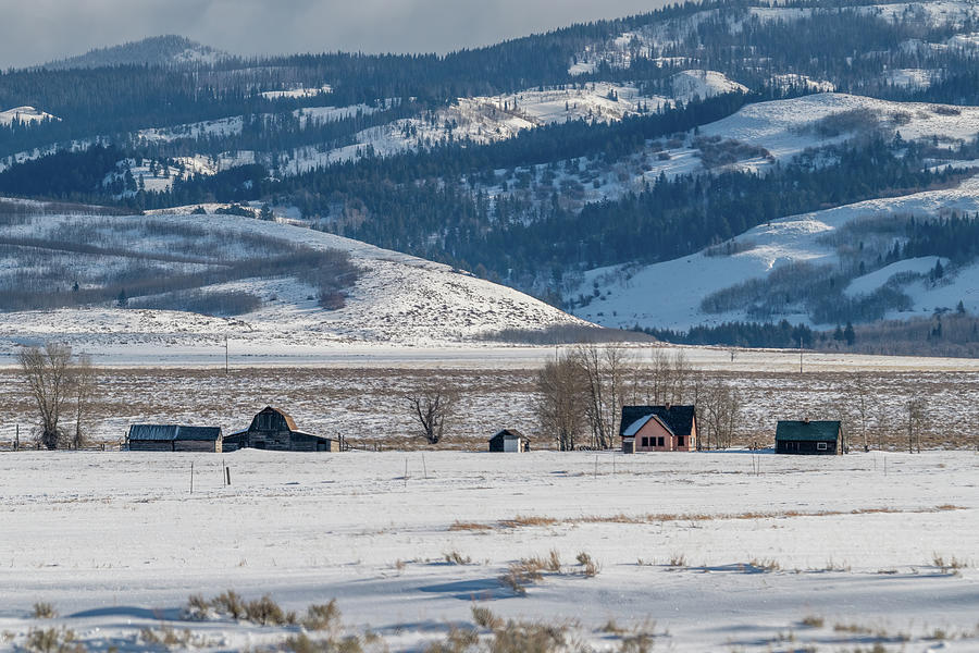 Tetons Mormon Row in Winter I Photograph by Douglas Wielfaert