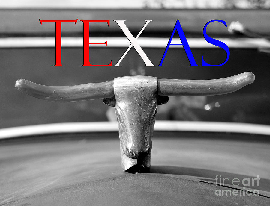 Texas a long horn state Mixed Media by David Lee Thompson