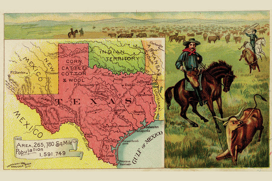 Map Drawing - Texas by Arbuckle Brothers