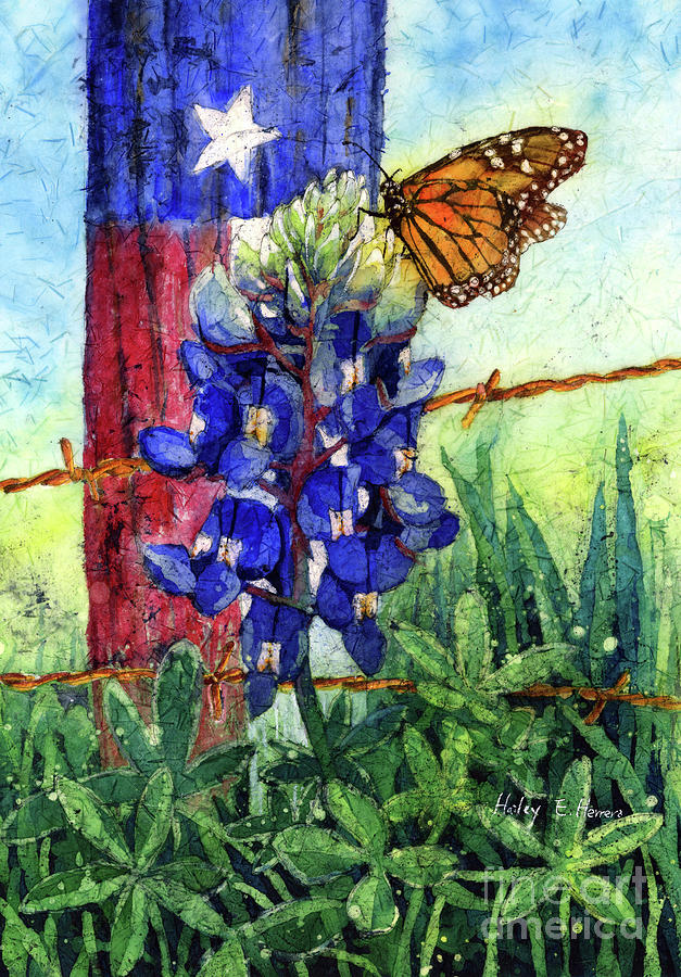 Texas Bluebonnet Painting by Hailey E Herrera