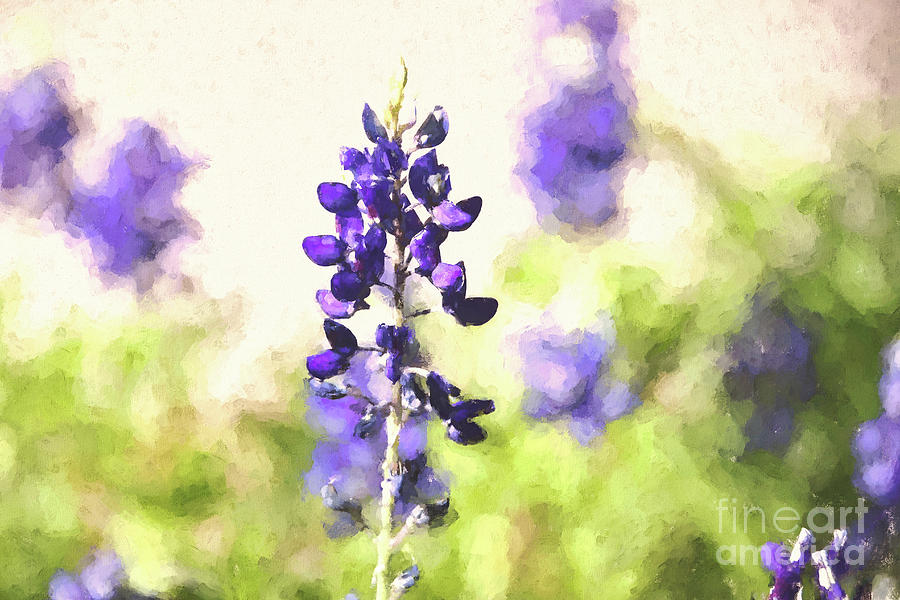 Texas Bluebonnets 20 #painting Painting by Andrea Anderegg