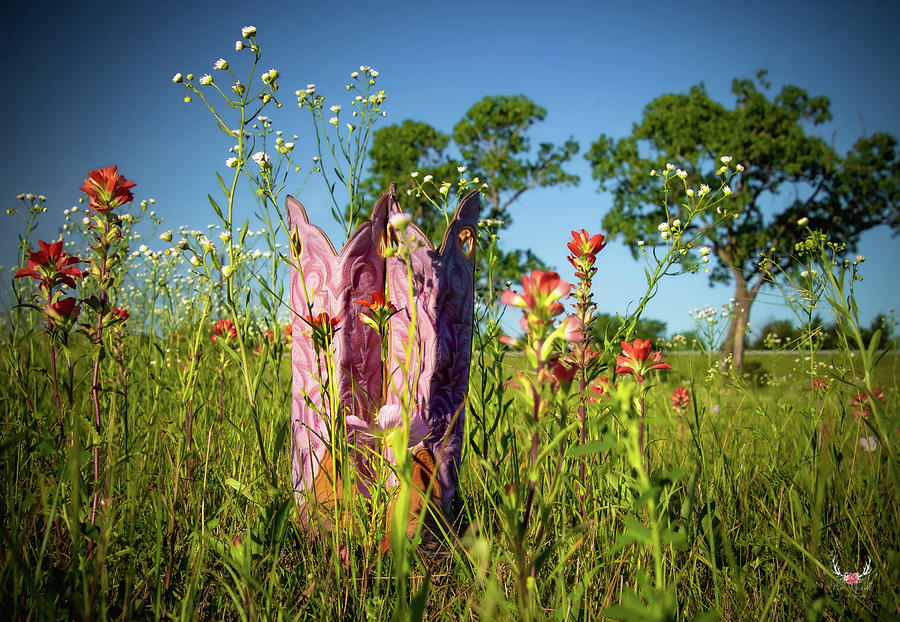 Texas Boots in Wildflowers Photograph by Pam Rendall