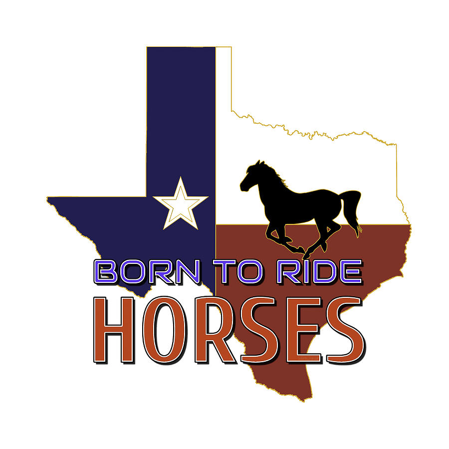 Texas Born to Ride Horses Mixed Media by Walter Herrit