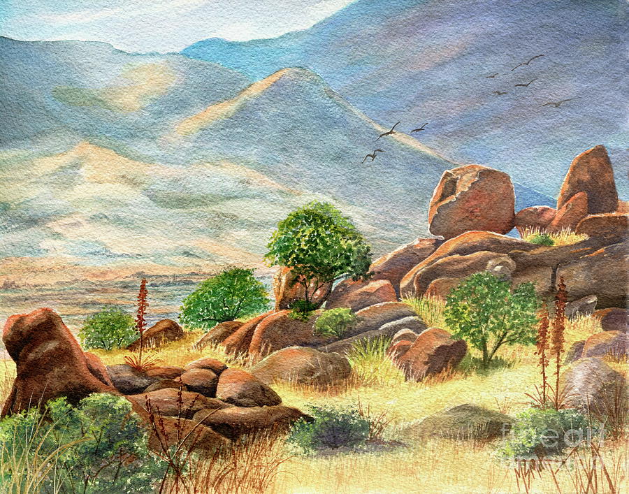 Texas Canyon  Arizona Painting by Marilyn Smith