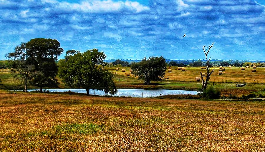 Texas countryside Photograph by Kelly Petty - Fine Art America