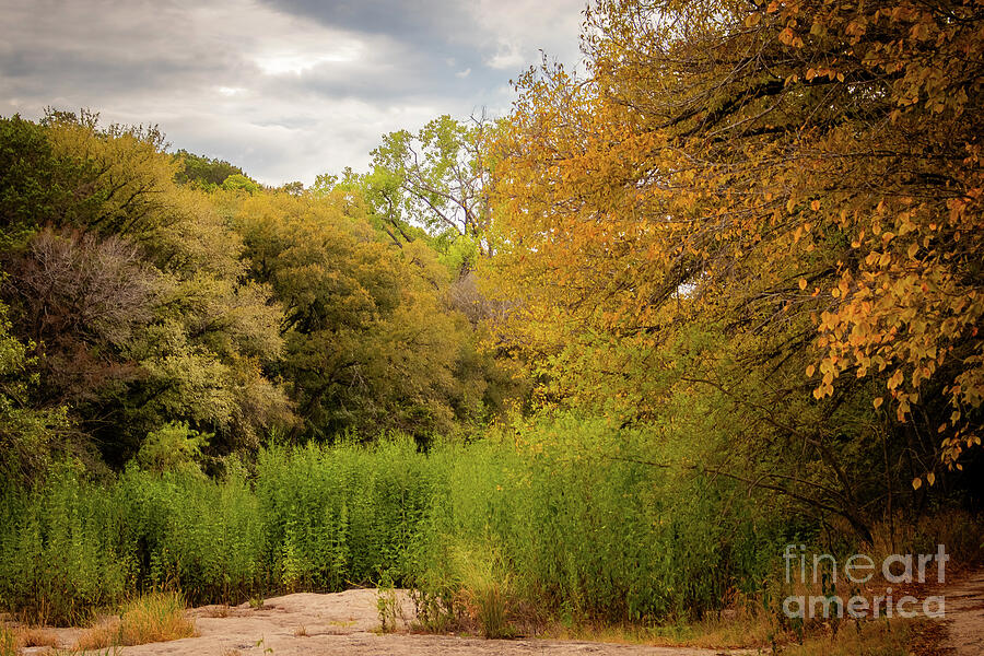 Texas Fall Photography - Barton Creek Trail Autumn Colors Photograph by Brigitte Blanchette Thompson Texas Fall Photography - Barton Creek Trail Autumn Colors Photograph by Brigitte Blanchette Thompson