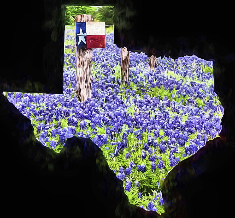 Texas Flag Bluebonnet State Outline Digital Art by JC Findley