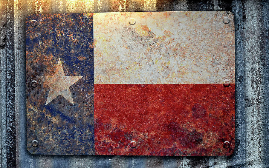 Texas Flag on Metal Photograph by Nadalyn Larsen