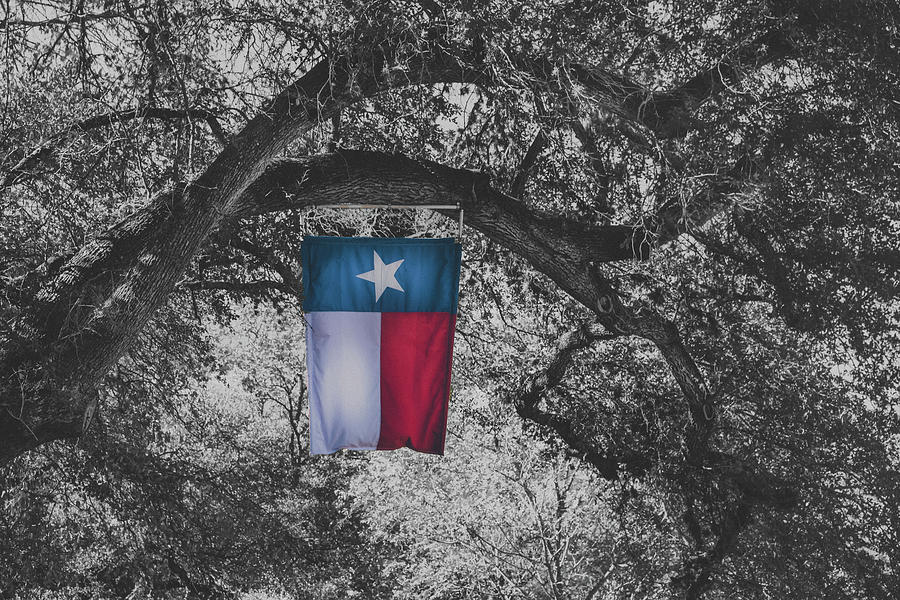 Texas Flag River Road BW Photograph by Kelly Wade