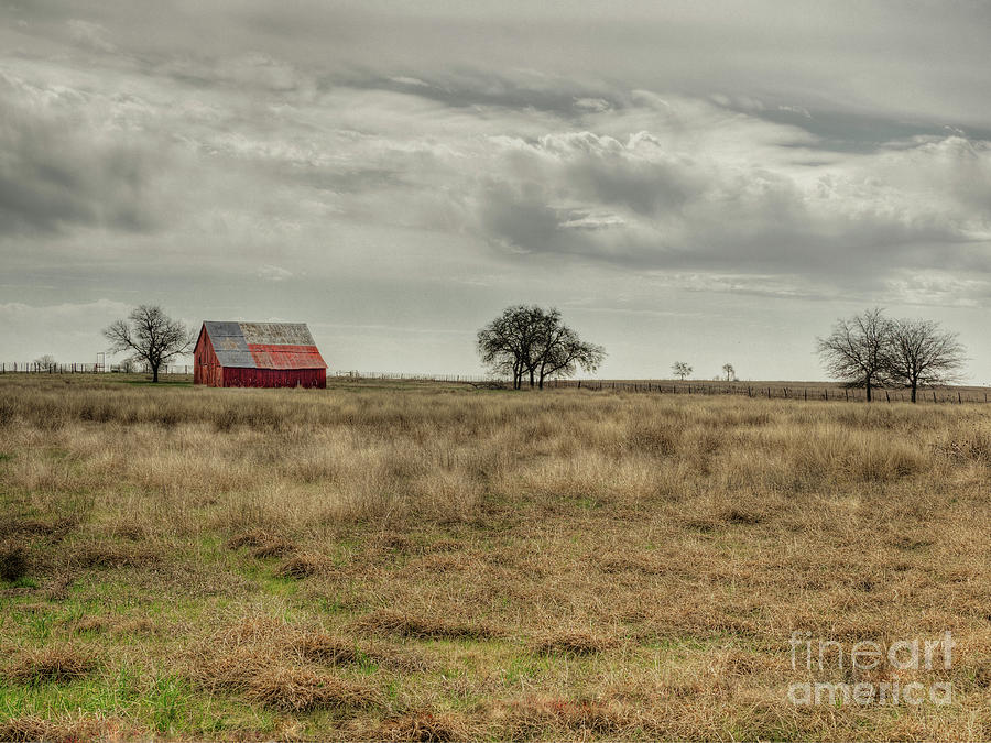 Texas Flag Roof Barn Photograph by Fred Adsit | Fine Art America