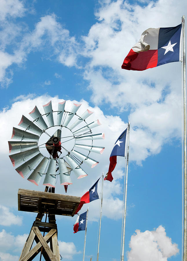 Texas Flags Photograph by Bob Pardue