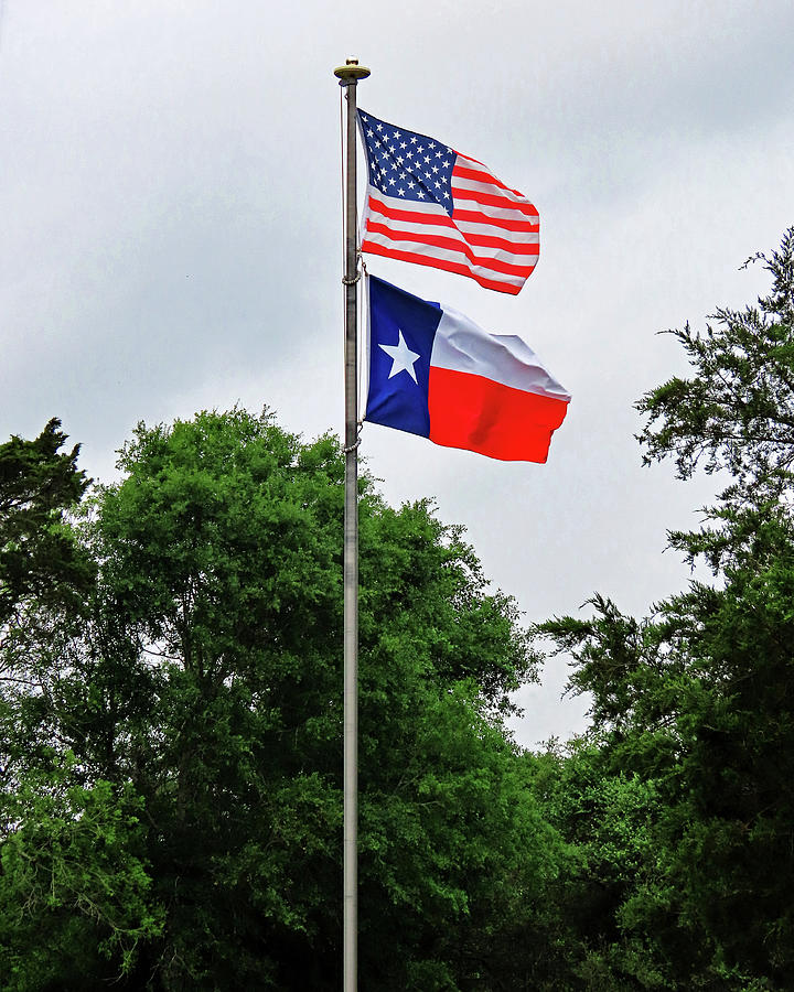 Texas Flags Flying High Photograph by Connie Fox