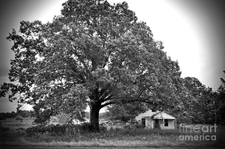 Texas Forgotten - Abandoned Farmhouse Under Oak I BW Photograph by Chris Andruskiewicz