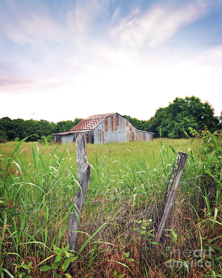 Texas Forgotten - Barn Photograph by Chris Andruskiewicz